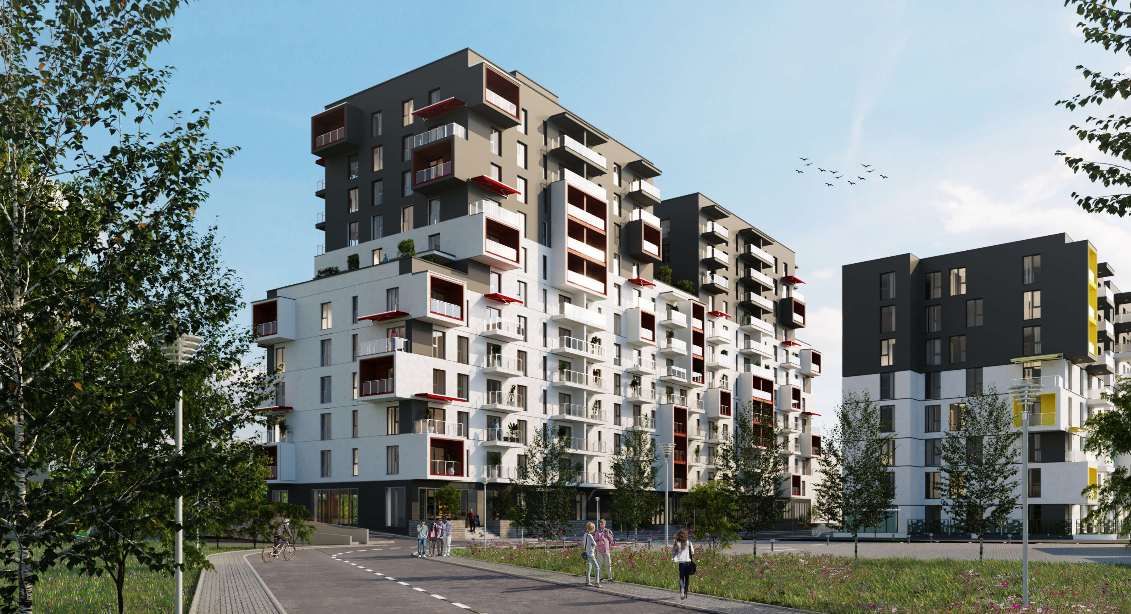 Imagine de ansamblu proiect